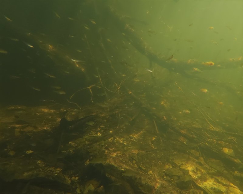 Divesite Image