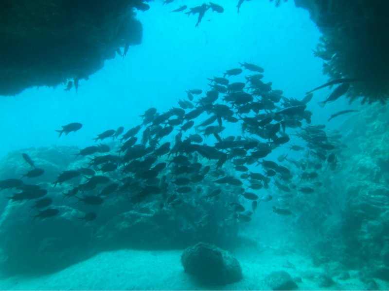Divesite Image