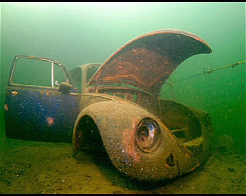 Divesite Image