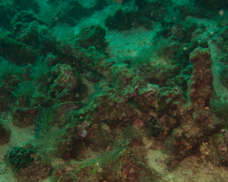 Divesite Image