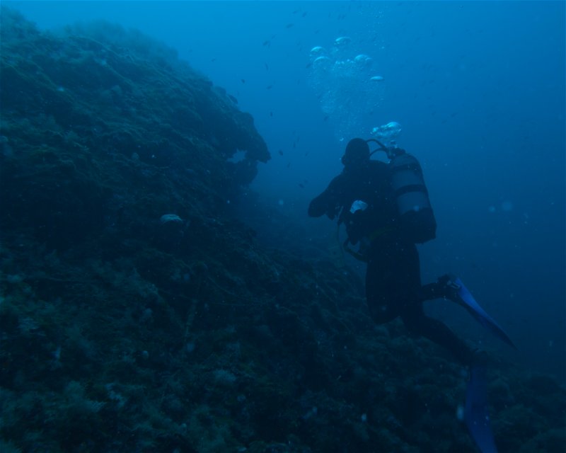 Divesite Image
