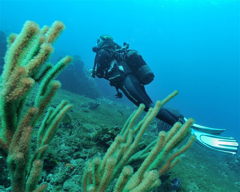 Divesite Image