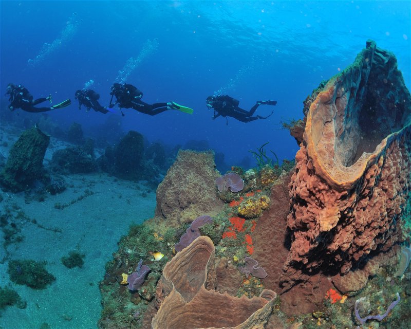 Divesite Image