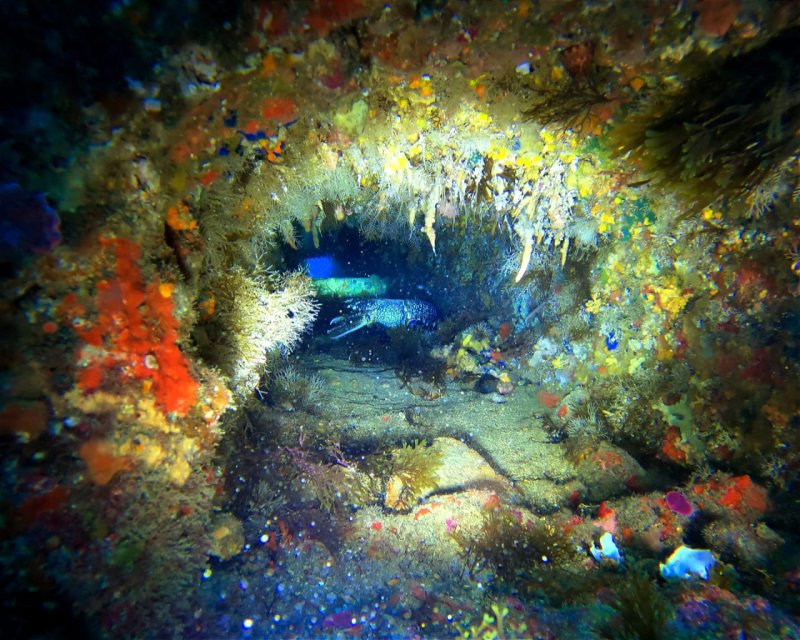 Divesite Image