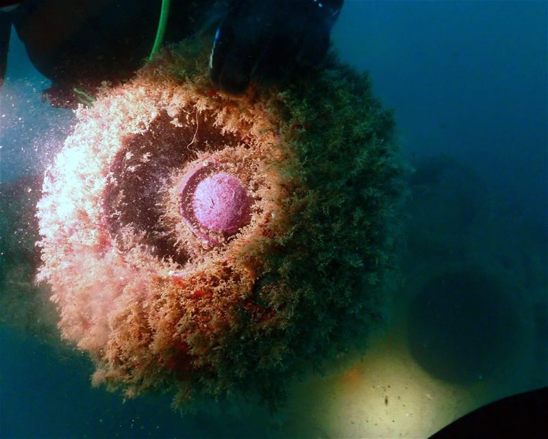 Divesite Image
