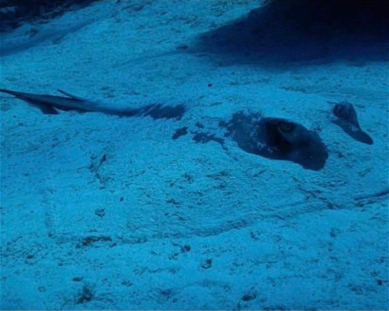 Divesite Image