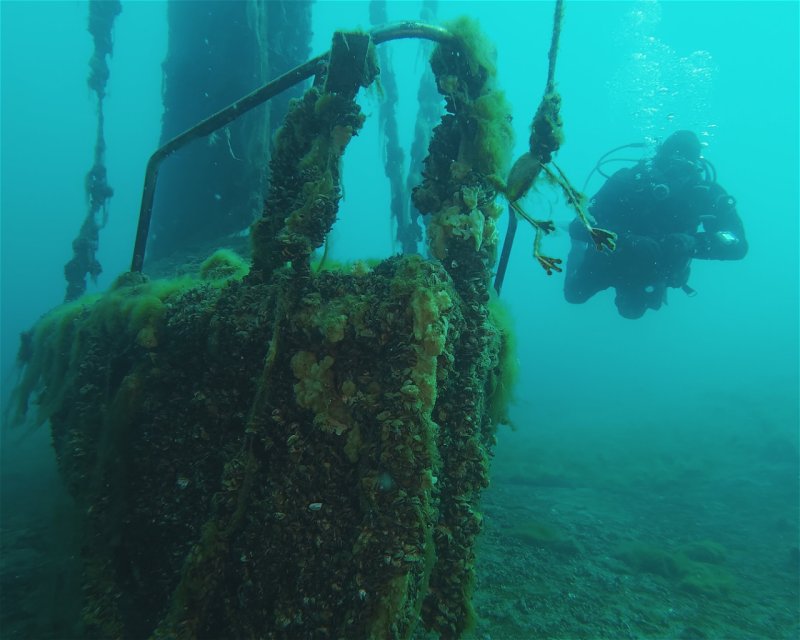 Divesite Image
