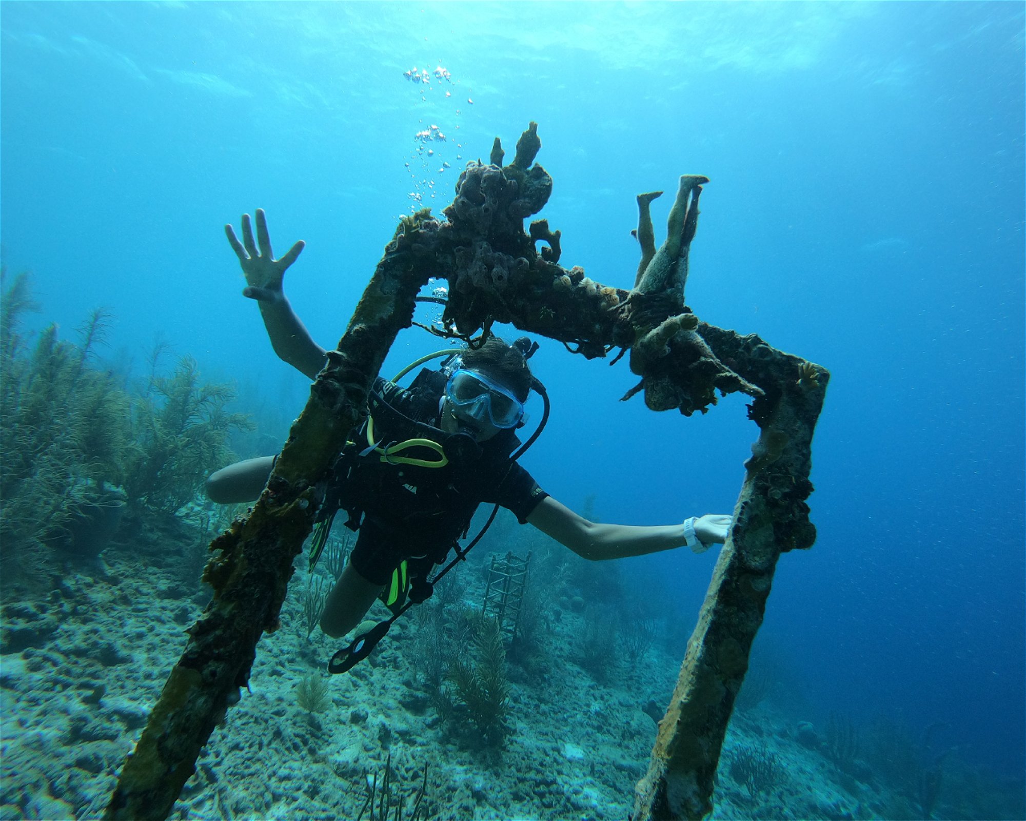 Scubaçao, Willemstad