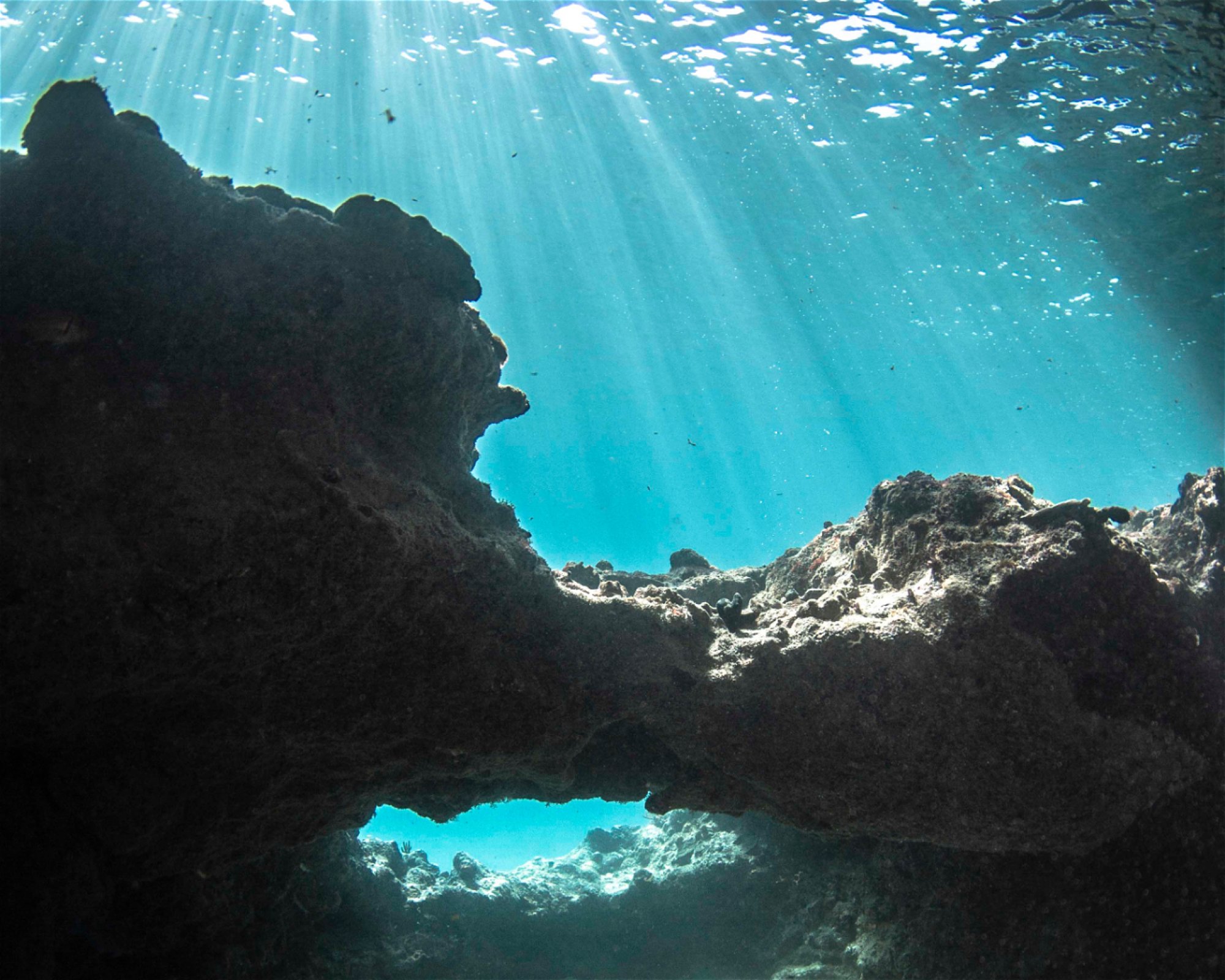 Scubaçao, Willemstad