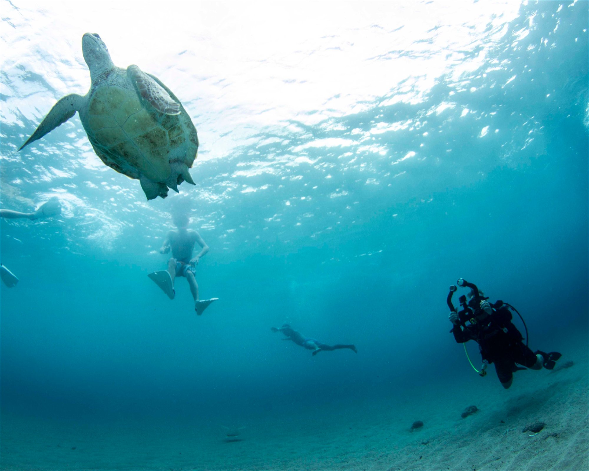 Scubaçao, Willemstad