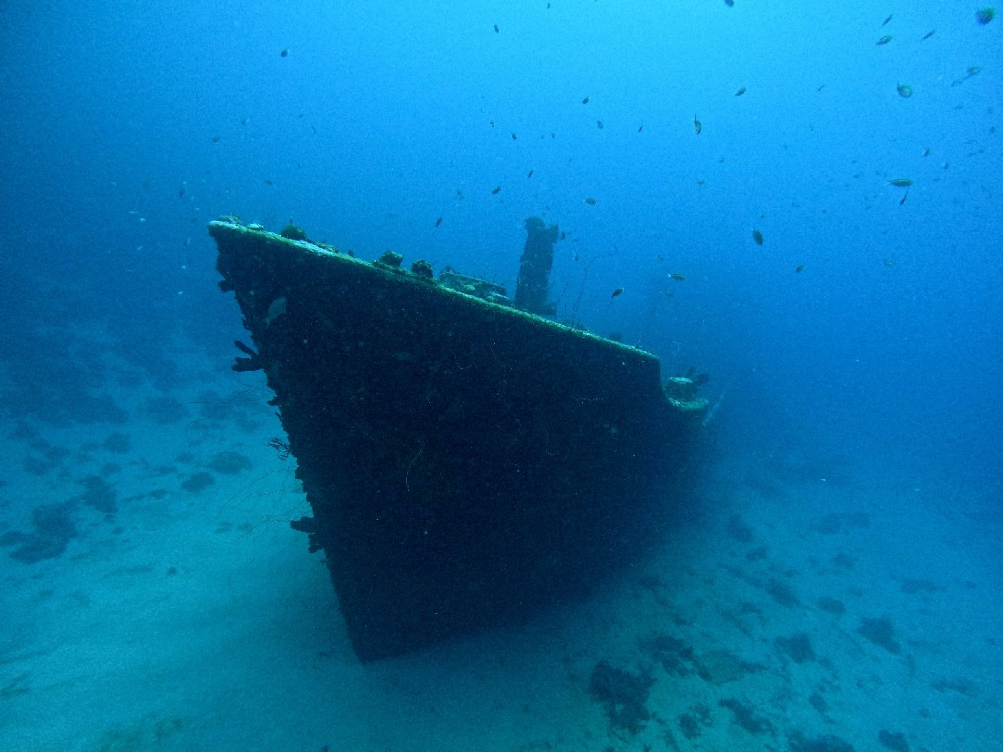 Marco L. (#3121770)