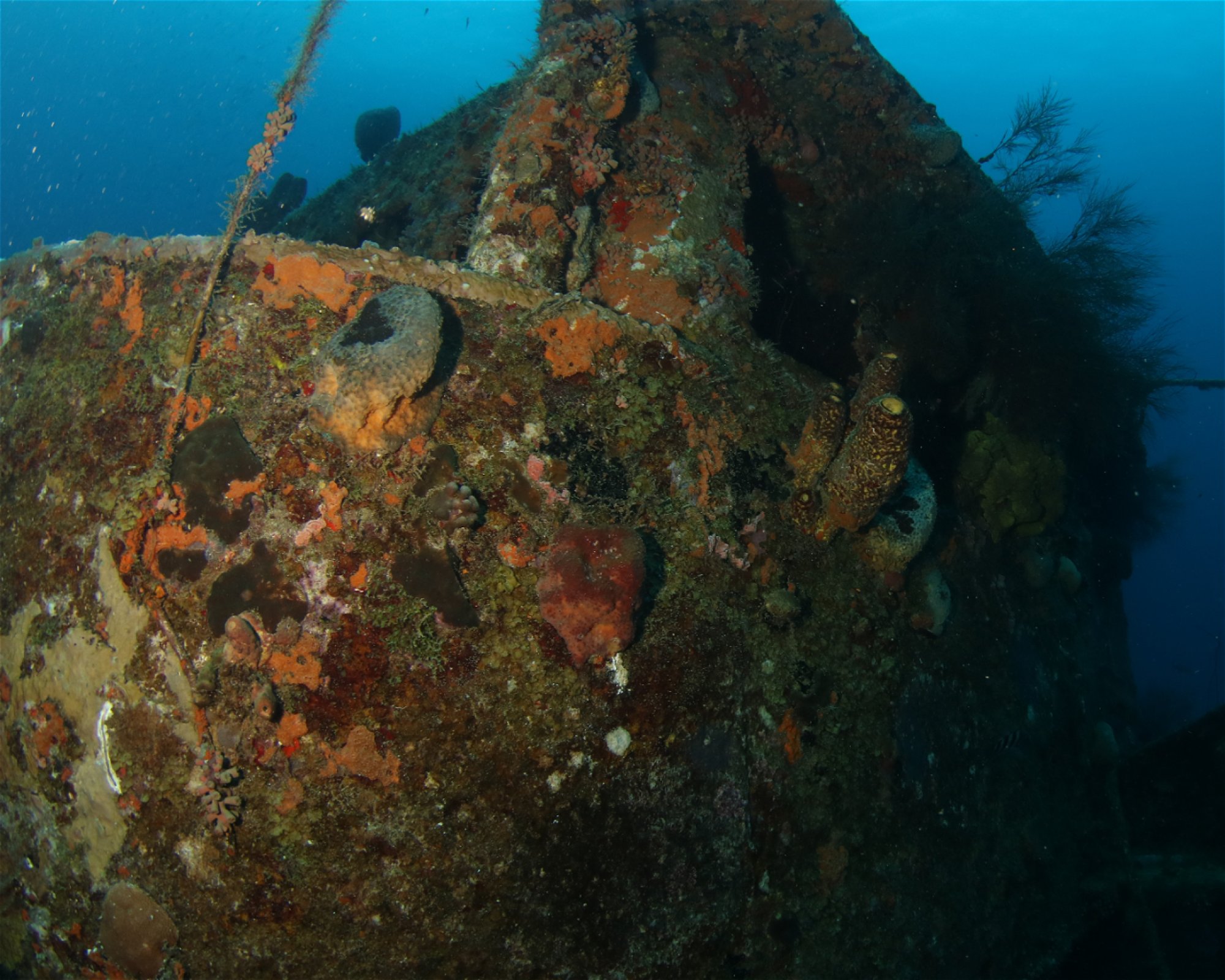 Scubaçao, Willemstad