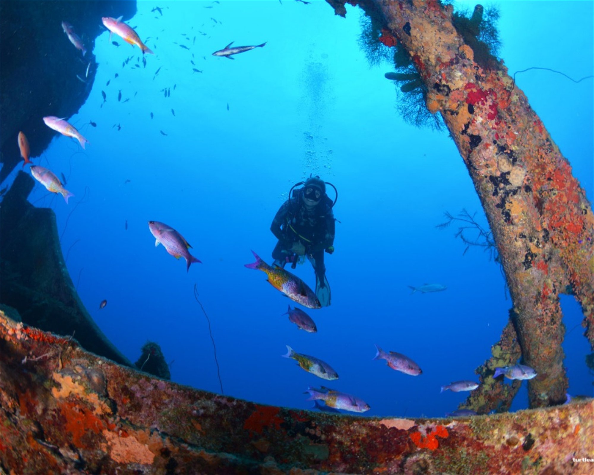 Scubaçao, Willemstad