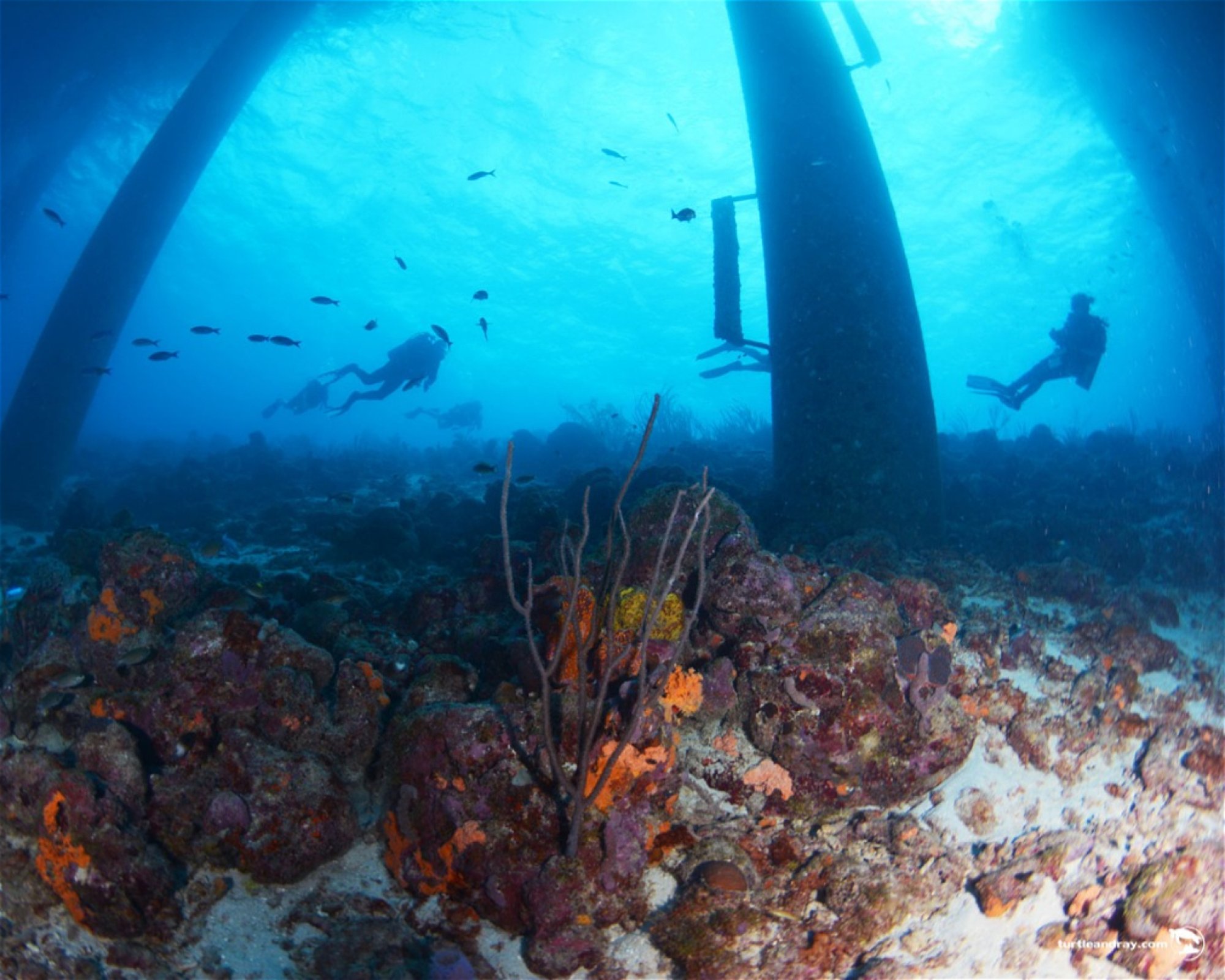 Scubaçao, Willemstad