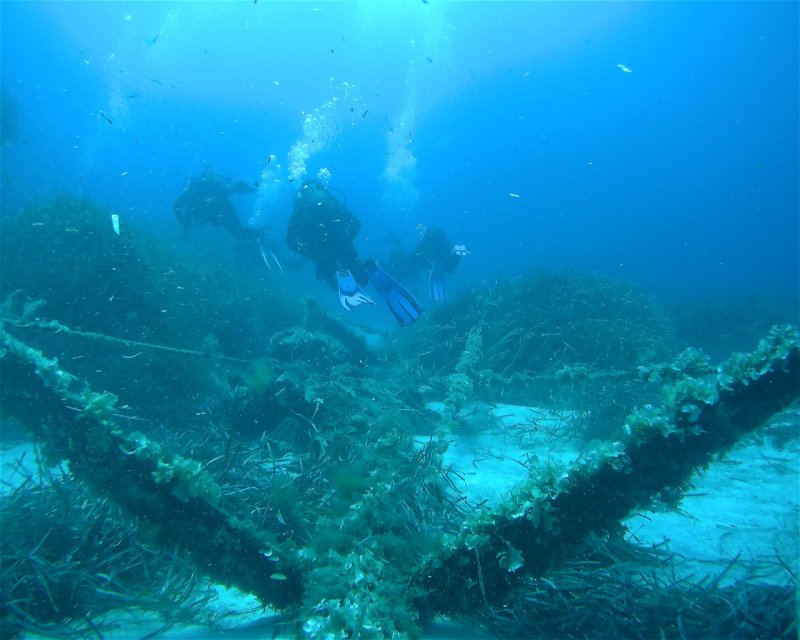 Divesite Image