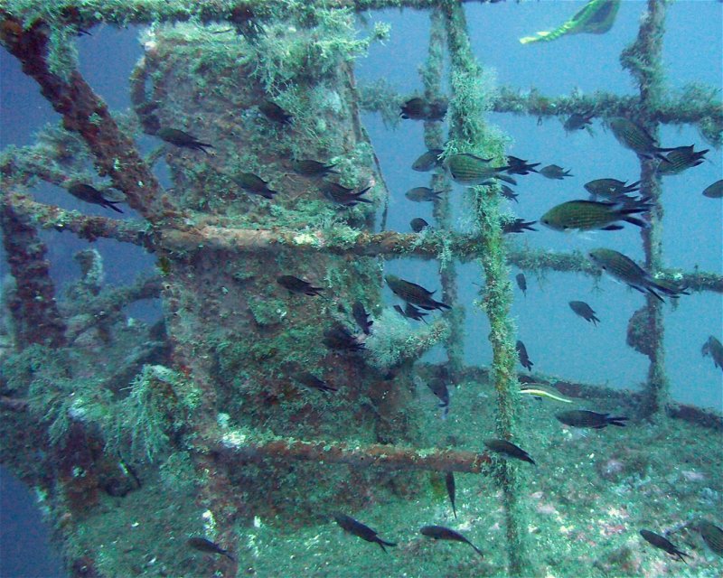 Divesite Image