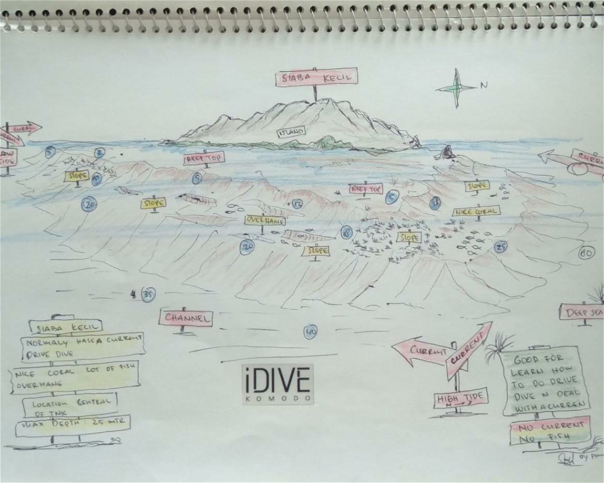 iDIVE Komodo, 86554 Labuan Bajo