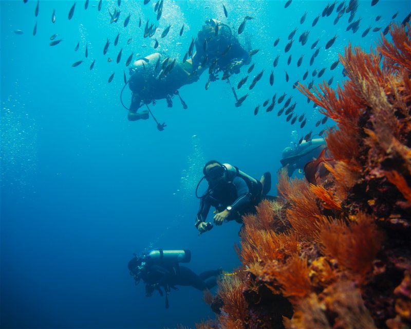 Divesite Image