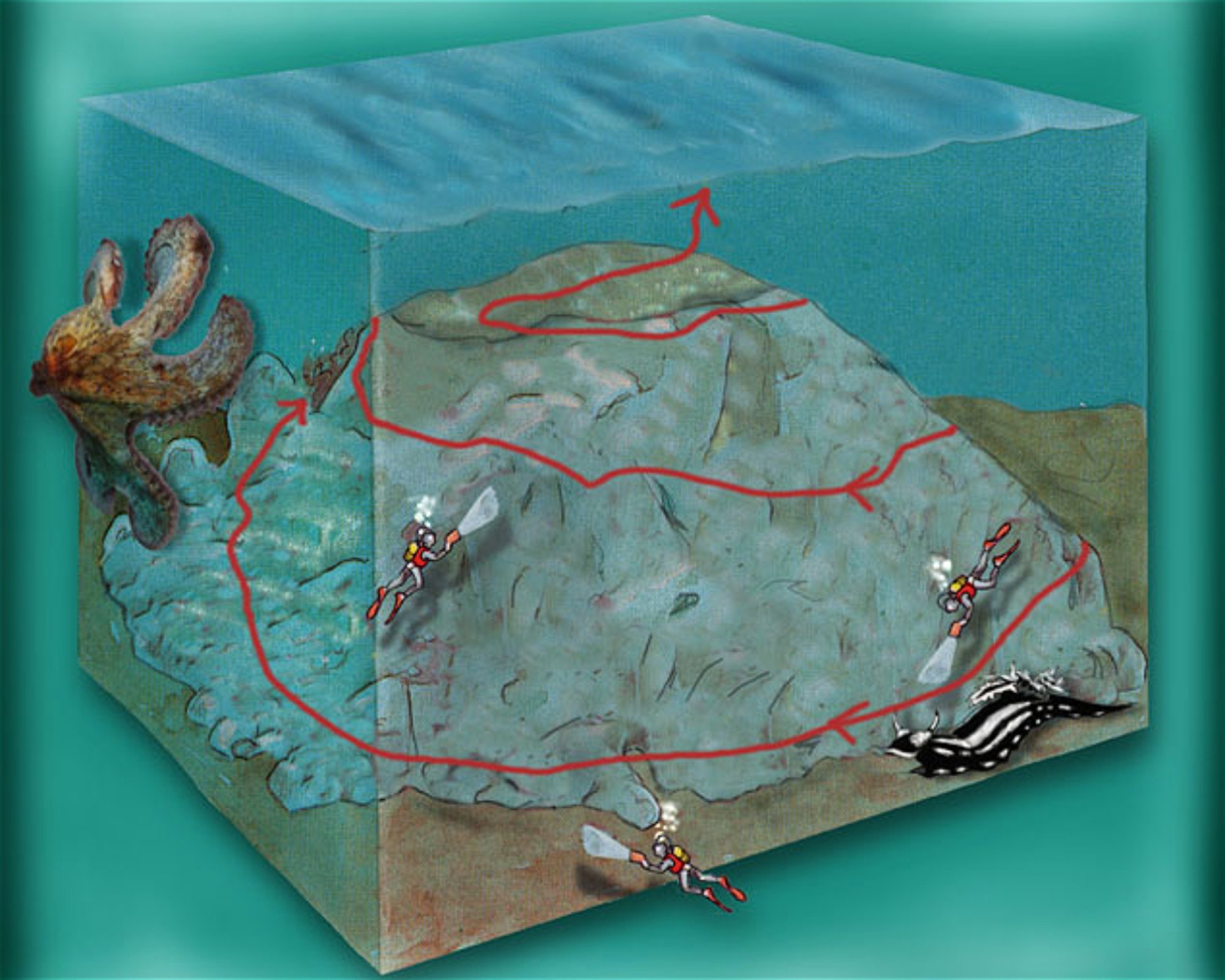 DIVING CENTER SERVICE NEREO SUB, 17028 SPOTORNO