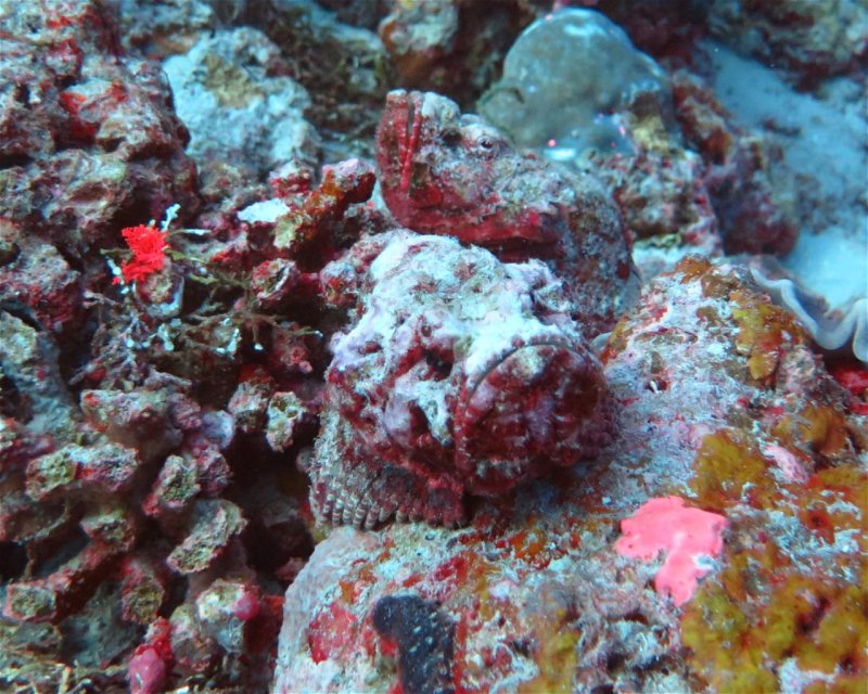 Divesite Image