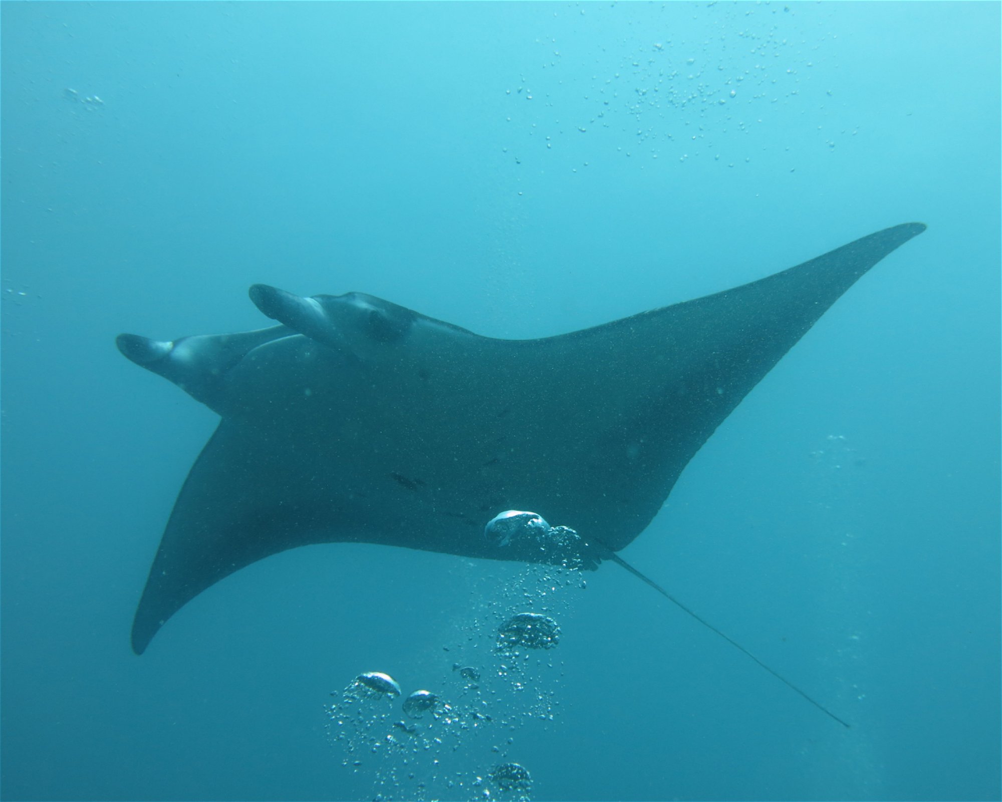 DivePoint Hudhuran Fushi, 20193 Male