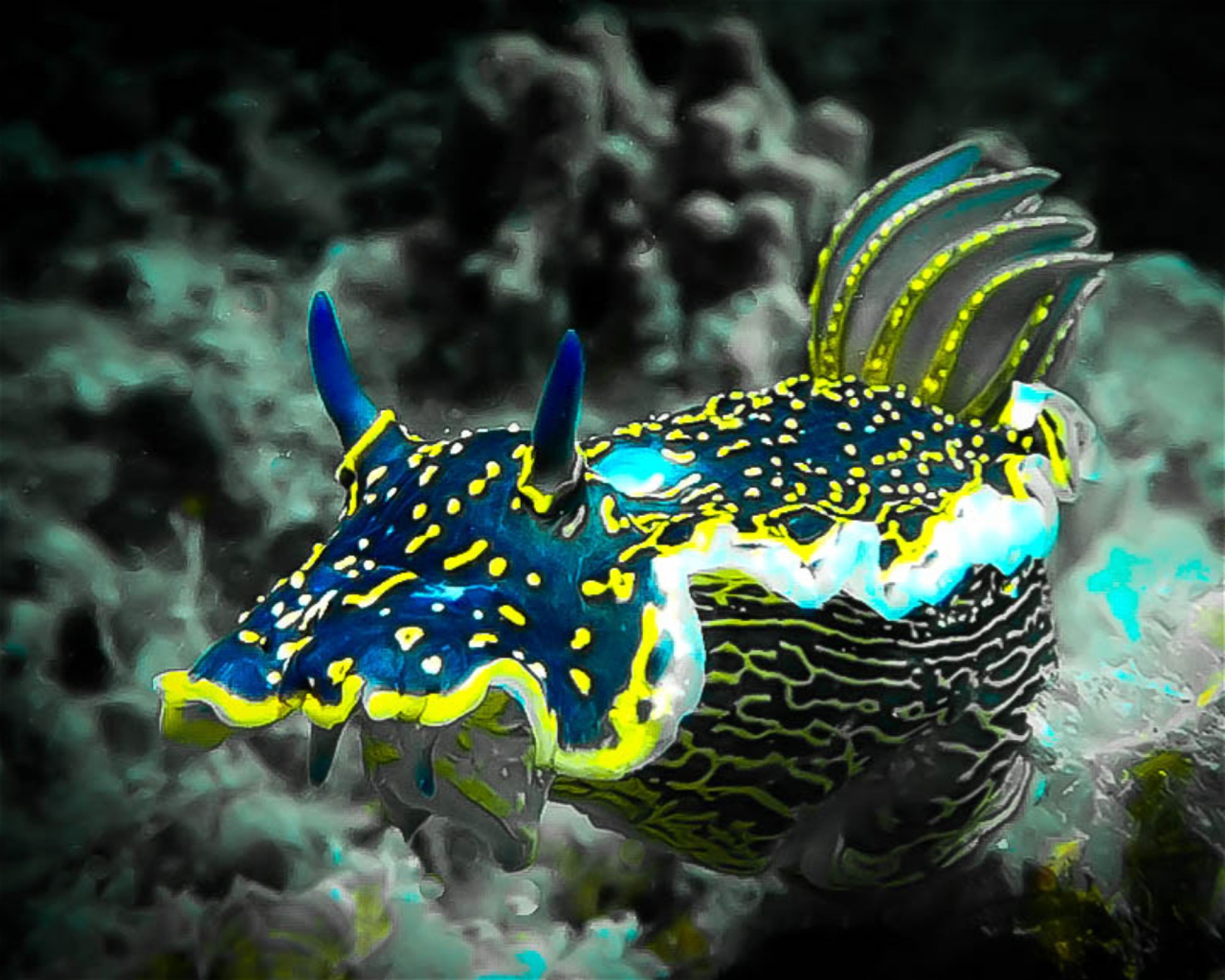 Subaquatic, 52470 Umag