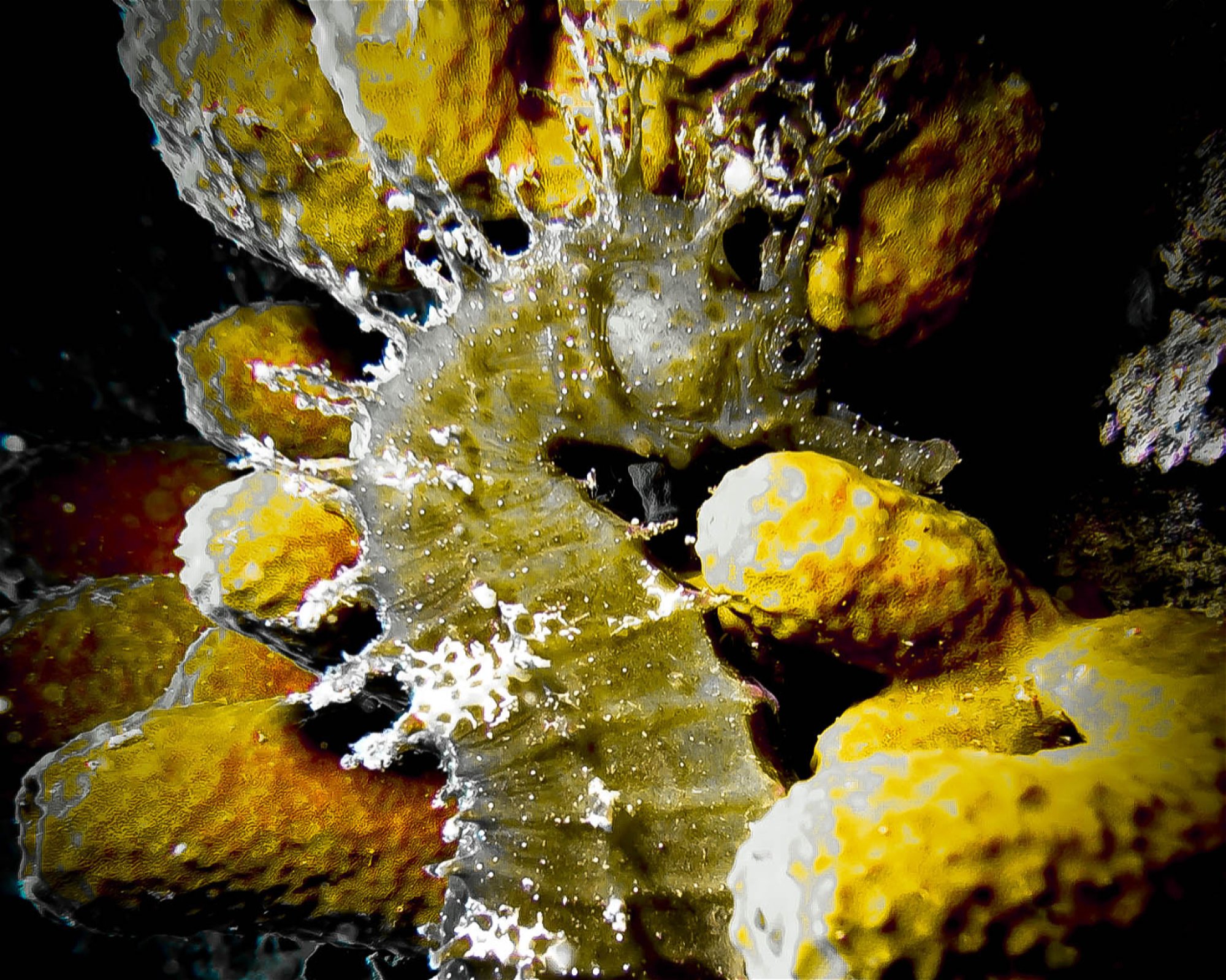 Subaquatic, 52470 Umag