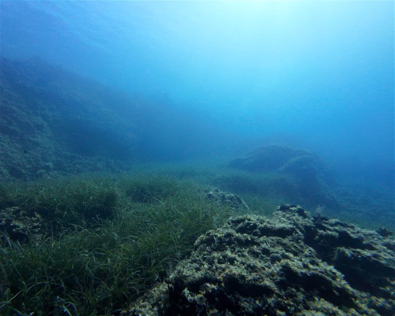 Divesite Image
