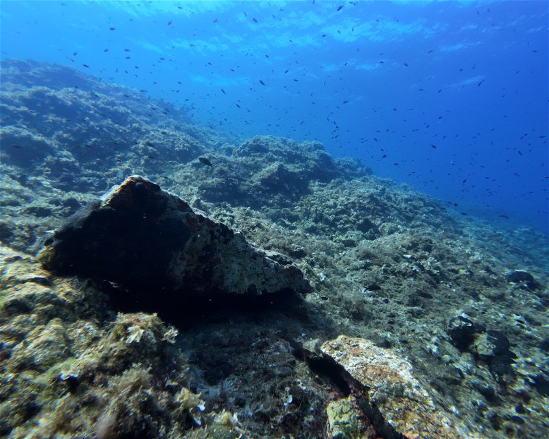 Divesite Image