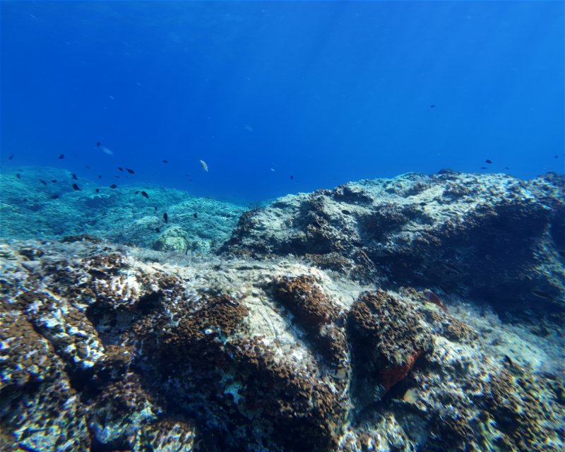 Divesite Image