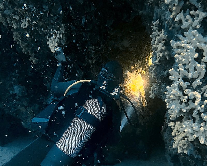 Divesite Image