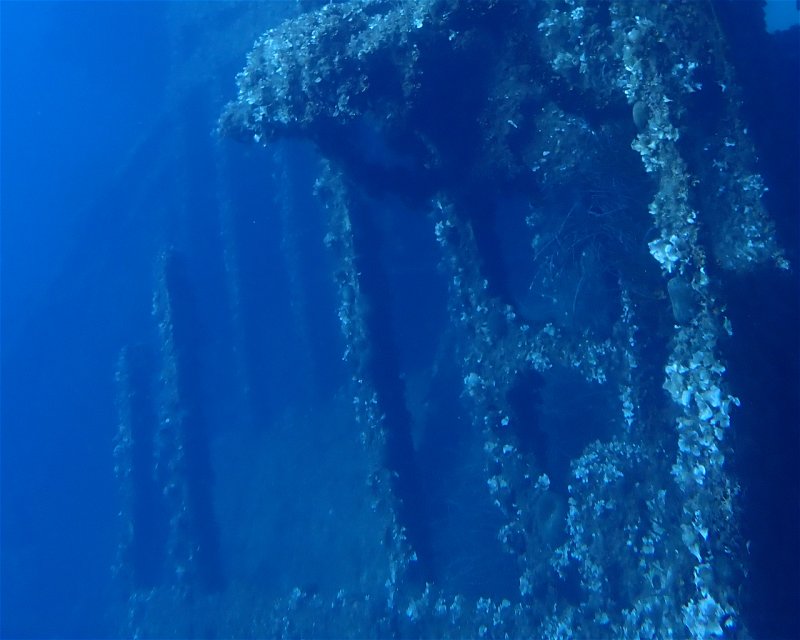 Divesite Image