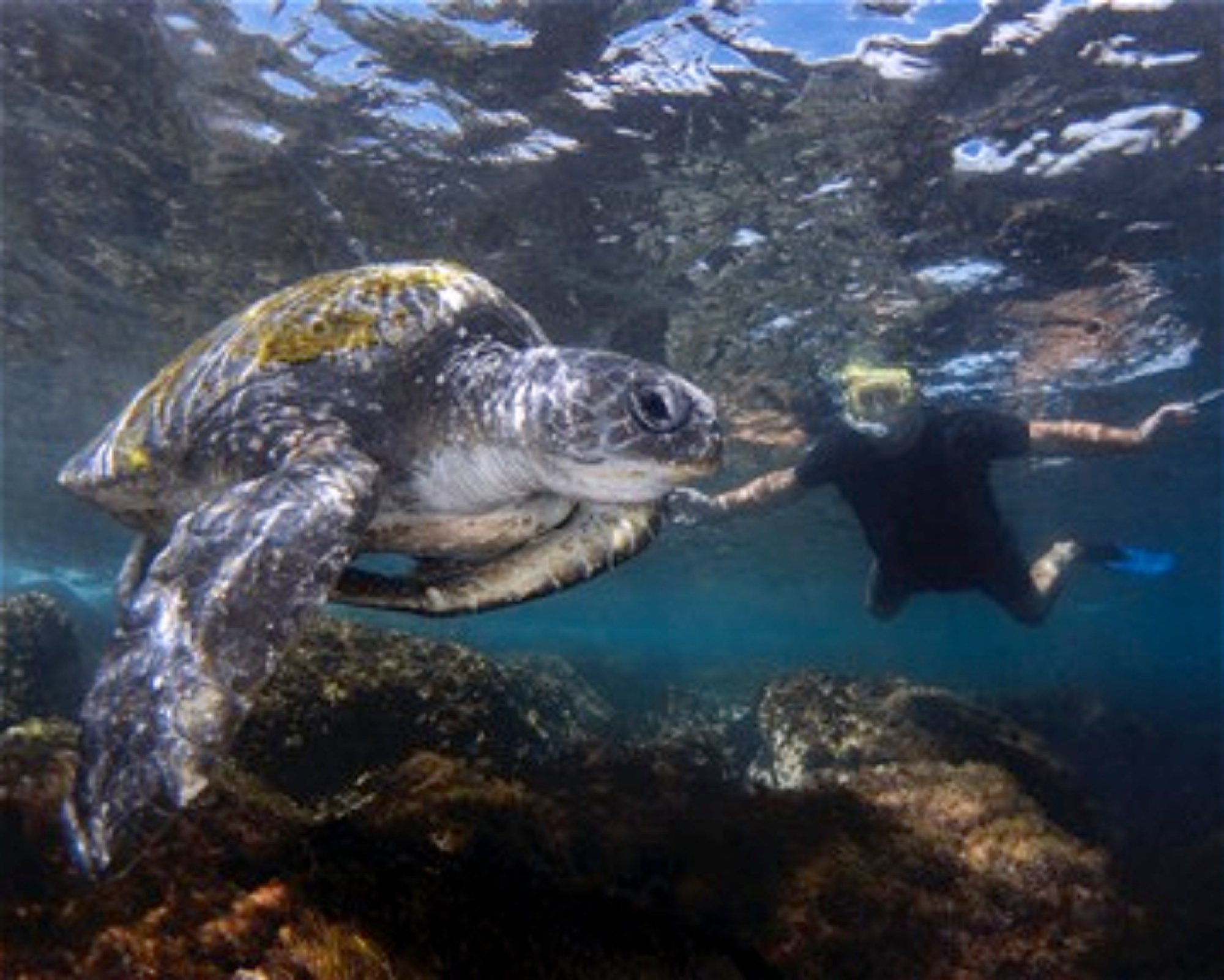 GOLD COAST DIVE CENTRE, 4220 MIAMI