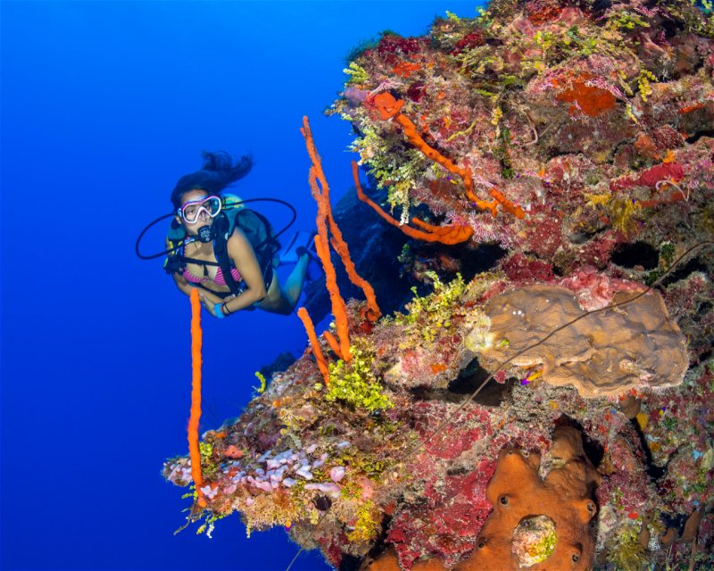 Divesite Image