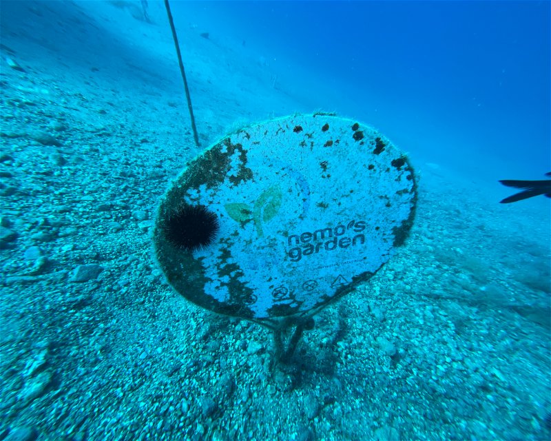Divesite Image