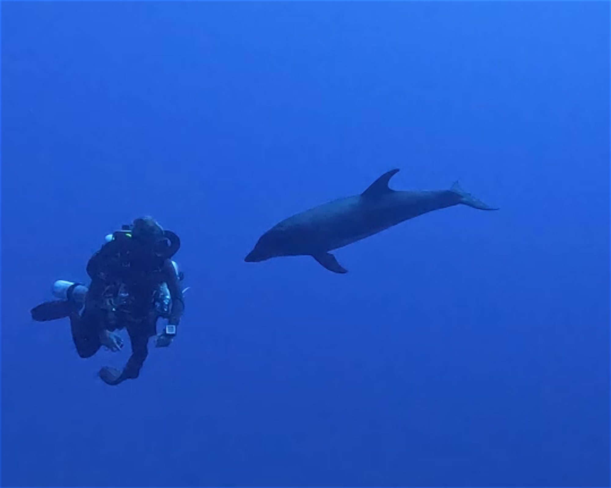 THE SIX PASSENGERS, 98775 AVATORU - RANGIROA