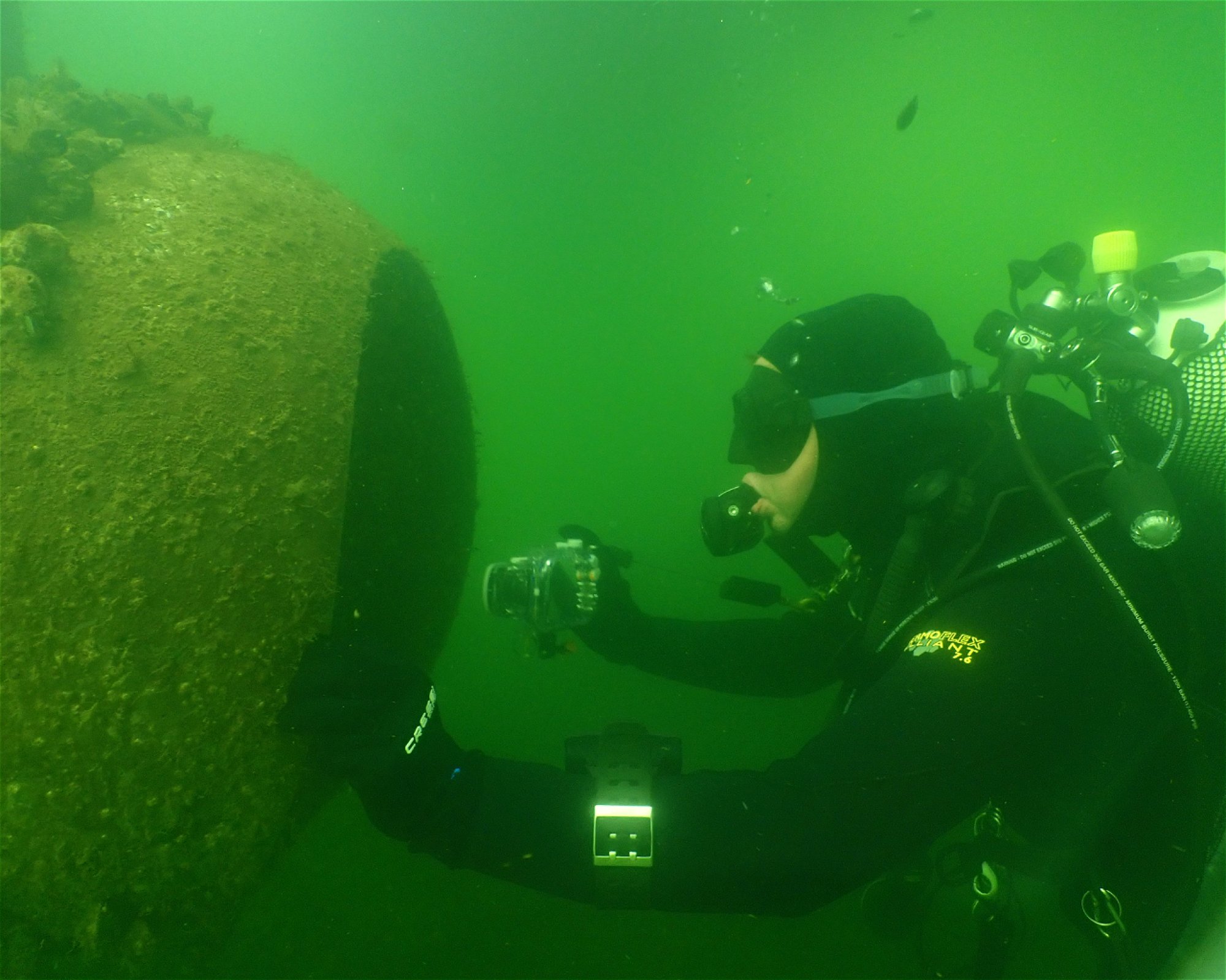 Tauchschule baltic-diver-circle, 18119 Rostock