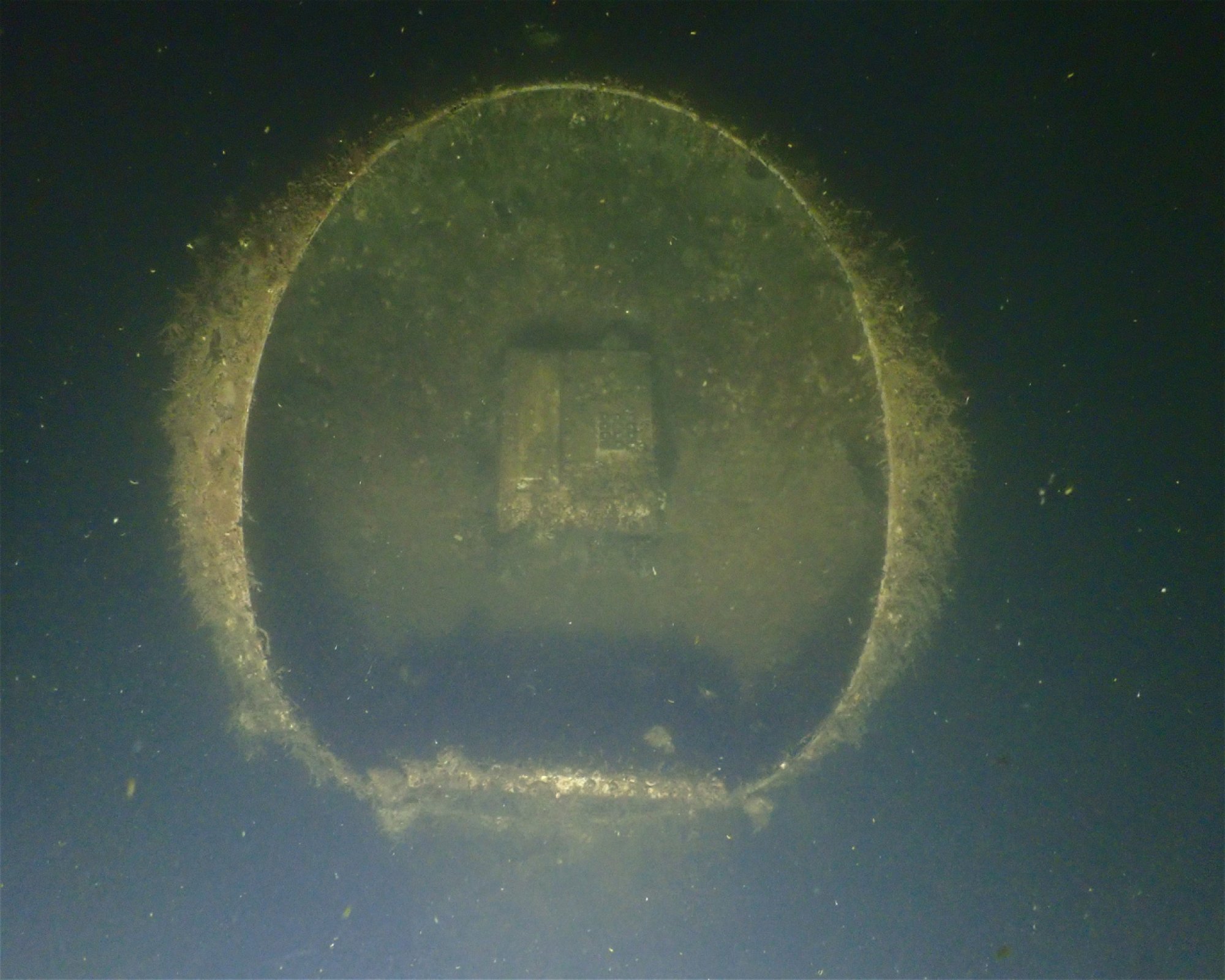 Tauchschule baltic-diver-circle, 18119 Rostock