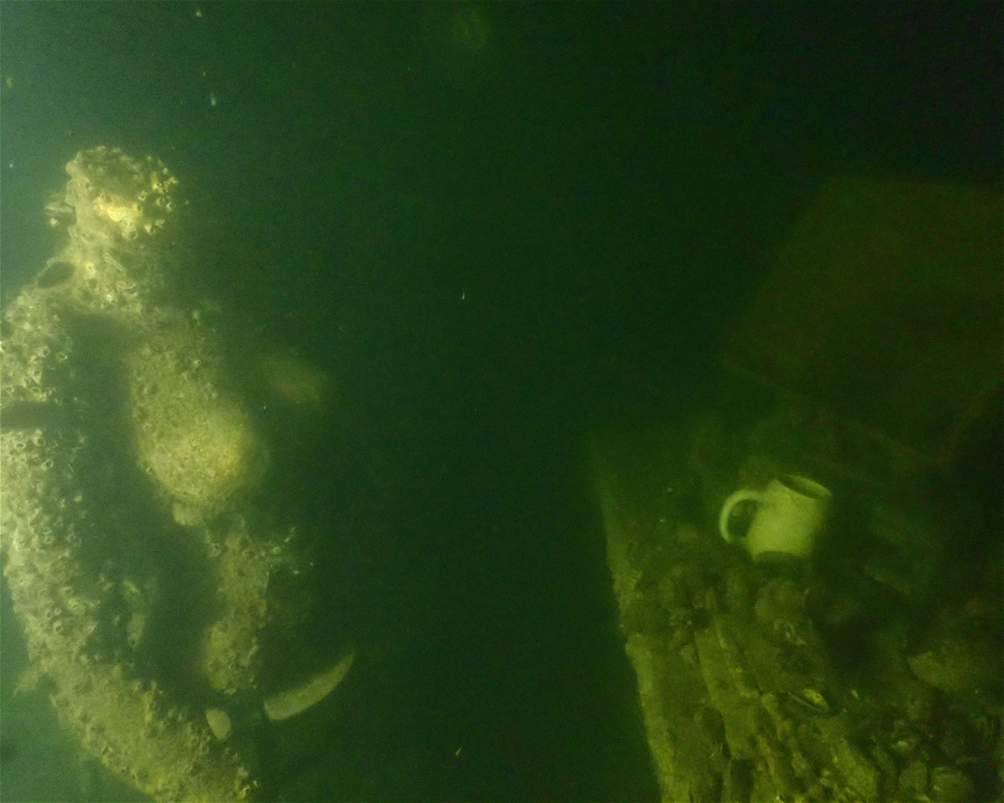 Tauchschule baltic-diver-circle, 18119 Rostock