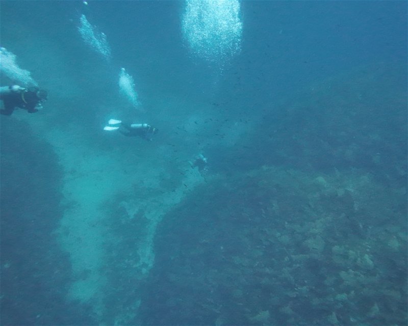 Divesite Image