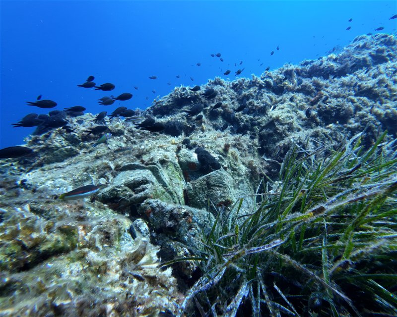 Divesite Image