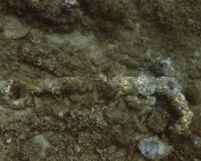 Divesite Image