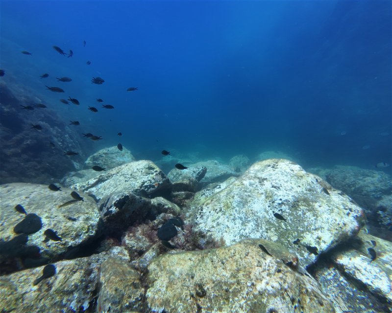 Divesite Image