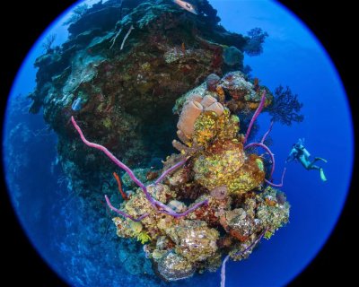 Black Rock Drop Off <span class="text-color-primary text-sm"> (★5.0)</span>