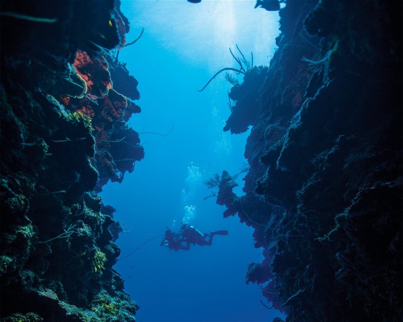 Divesite Image