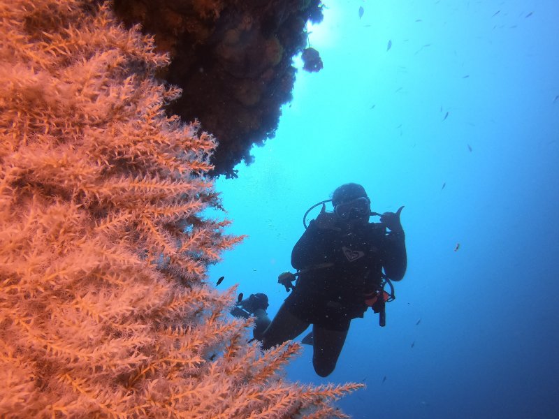 Divesite Image