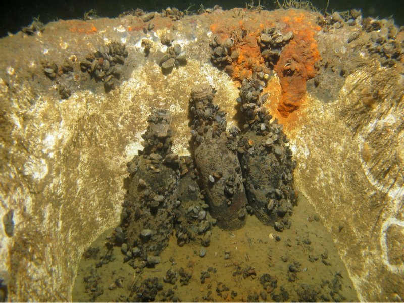 Divesite Image