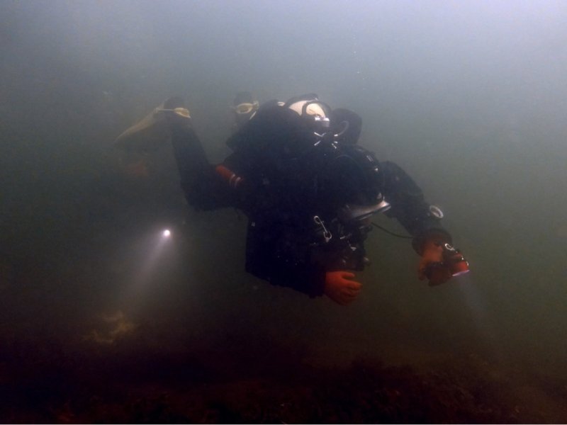 Divesite Image