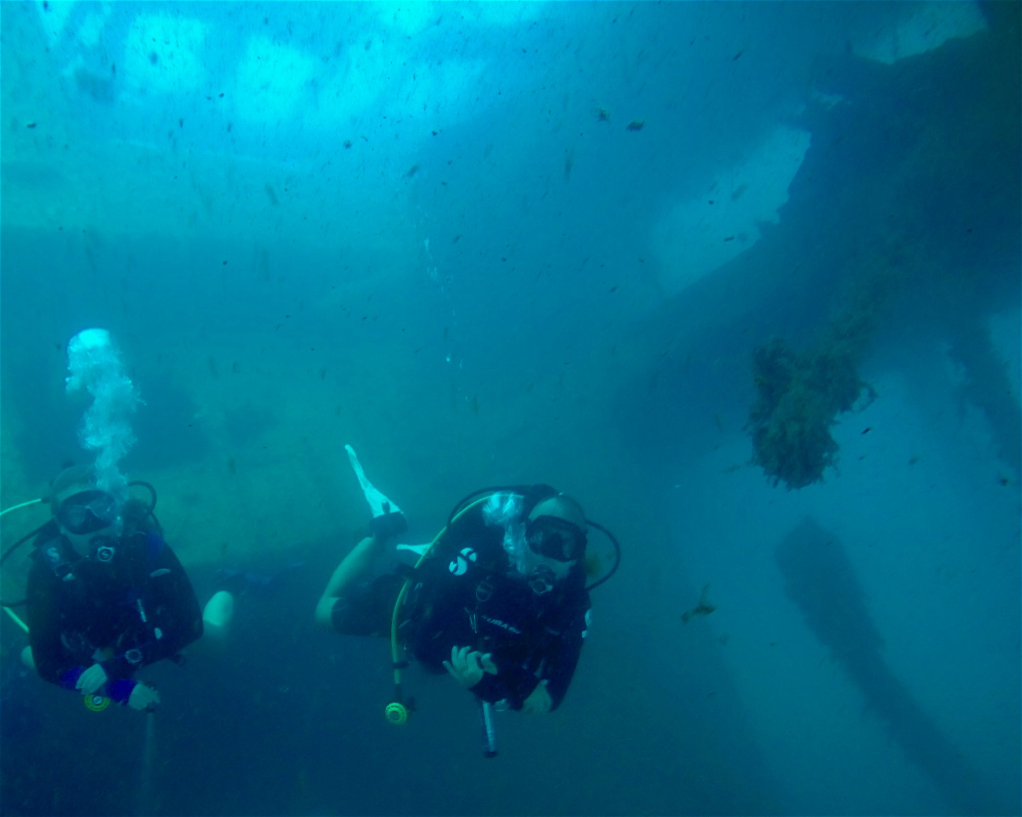 SY Dalis Merkezi, 07100 Antalya