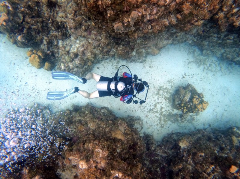 Divesite Image